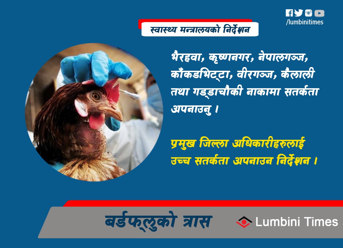 बर्डफ्लुको त्रास: उच्च सतर्कता अपनाउन स्वास्थ्य मन्त्रालयको निर्देशन